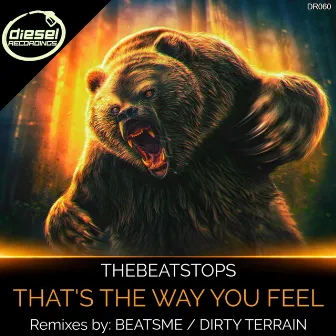 That's The Way You Feel by TheBeatStops