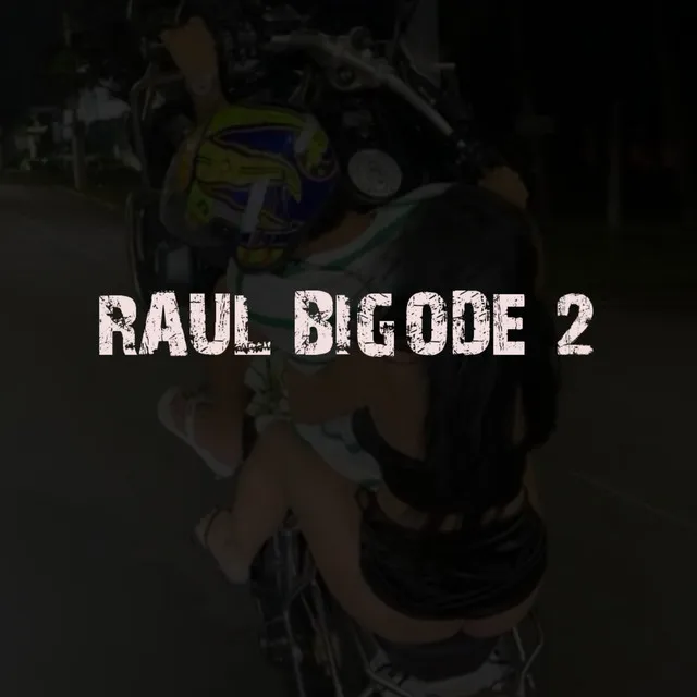 Raul Bigode 2