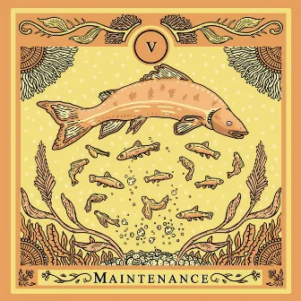 Maintenance by Salmon Doza