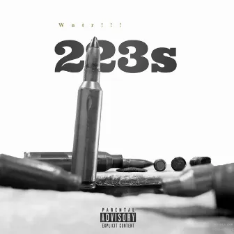 223s by Wntr!!!