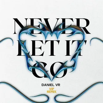 Never Let It Go (Vip Remix) by Daniel VR