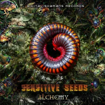 Alchemy EP by Sensitive Seeds