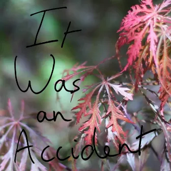 It Was an Accident by Lorena del Mar