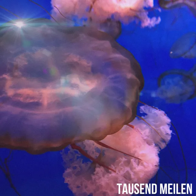 Tausend Meilen