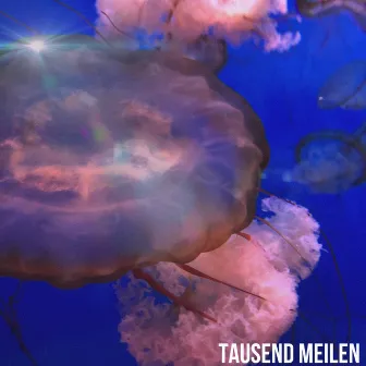 Tausend Meilen by Sisr