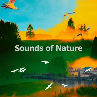 Sounds of Nature by Nature Is Calling