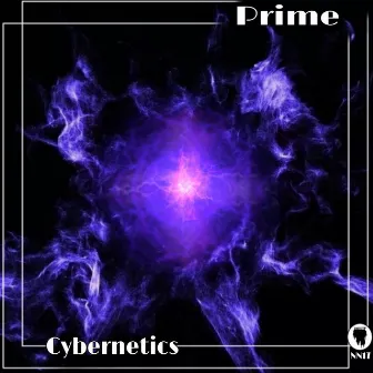 Cybernetics by PRIME