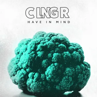 Have in Mind by CLNGR