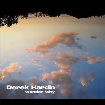 Wonder Why by Derek Hardin