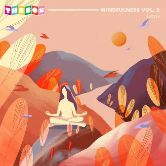 Mindfulness Vol. 2 by Ethan Maltby