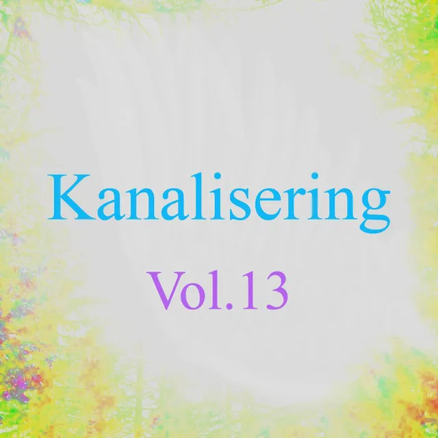 Kanalisering, Vol. 13 (Kanaliseringer Fra Energi)