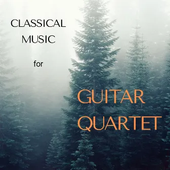 Classical Music for Guitar Quartet by Edson Lopes