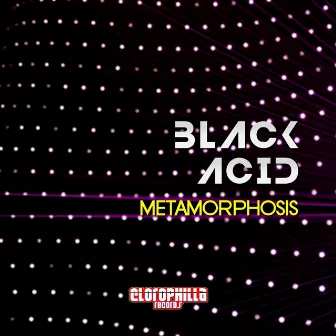 Metamorphosis by Black Acid