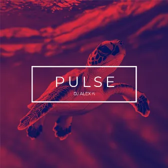 Pulse by Dj Alex K