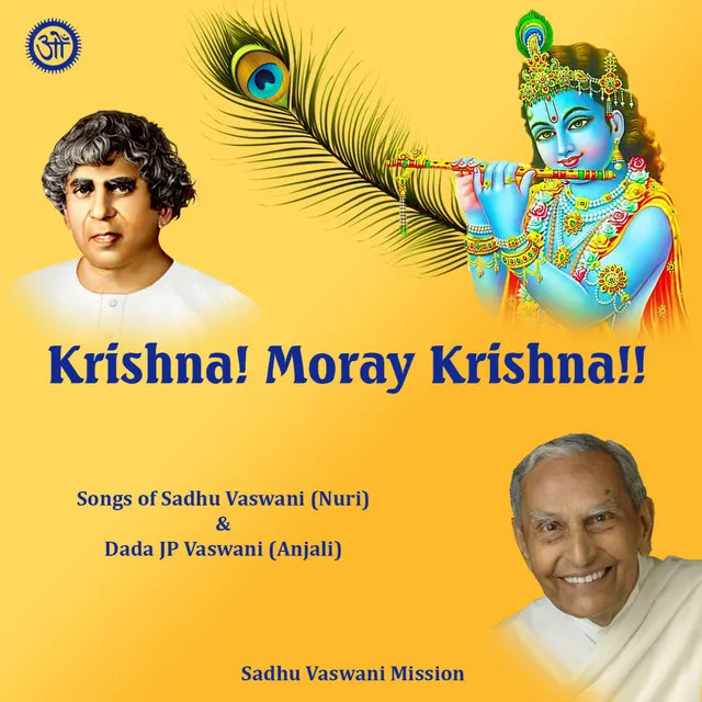 Krishna Moray Krishna (Tum Ho) [feat. Dhananshree Ganatra & Ashish Thadani]