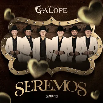 Seremos by Conjunto Galope De Rio Grande