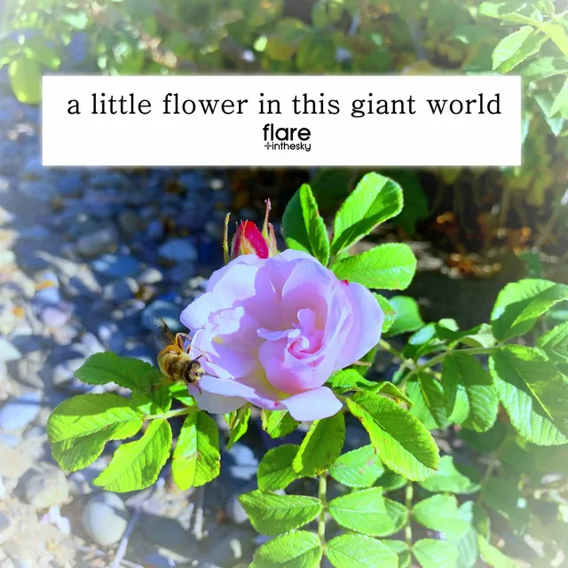 a little flower in this giant world.