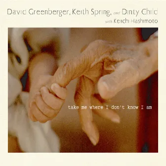 Take Me Where I Don't Know I Am by David Greenberger