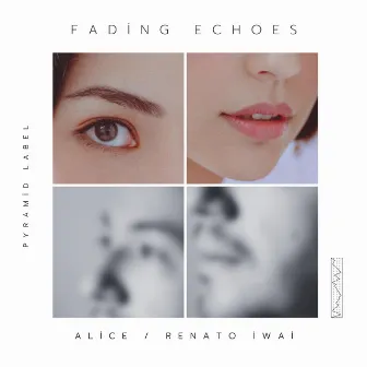 Fading Echoes by ALICE