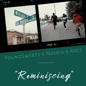 Reminiscing (Radio Edit) by YoungSweets