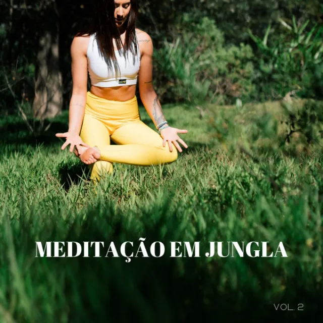 Meditação Dos Sete Chakras