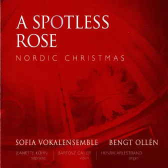 A Spotless Rose: Nordic Christmas by Bengt Ollen