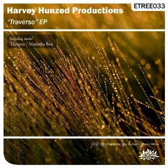 Traverso EP by Harvey Hunzed Productions