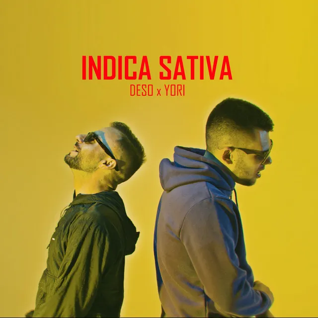 Indica Sativa