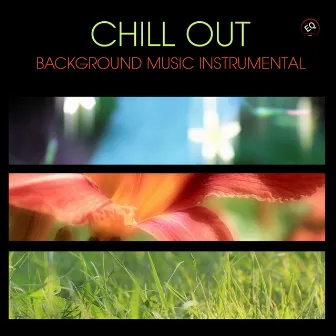 Chill Out Background Music Instrumental - Chill Lounge by Unknown Artist