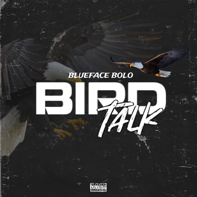 Bird Talk