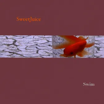 Swim by Sweet Juice