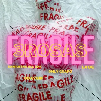 Fragile by 3Rosas