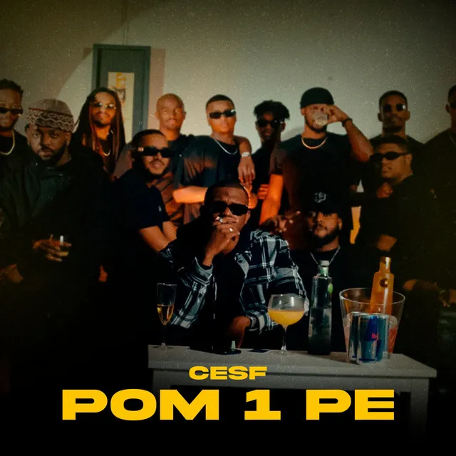 Pom 1 Pe