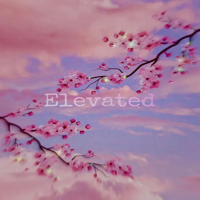 Elevated