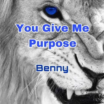 You Give Me Purpose by Benny