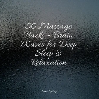 50 Loopable Rain Sounds for Spa & Serenity by Pro Sound Effects Library