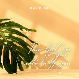 Tạm Biệt Em Cô Gái Anh Từng Yêu (Blak Remix) by Blak