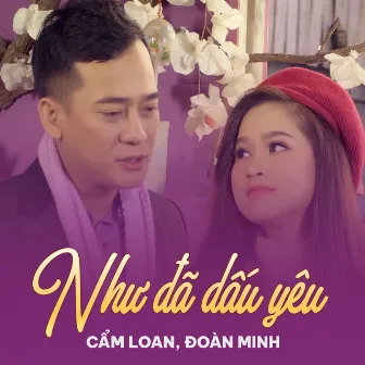 Như Đã Dấu Yêu by Cẩm Loan