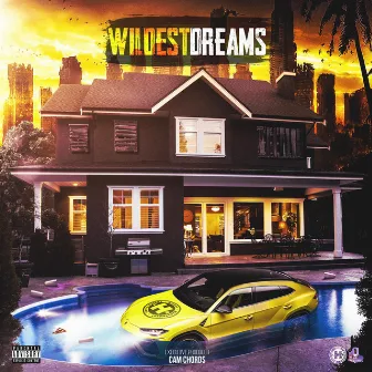 Wildest Dreams by Cam Chords