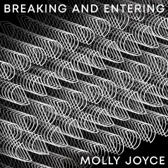 Breaking and Entering by Molly Joyce