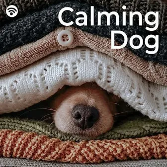 Calming Dog by The Rabbit Relaxer