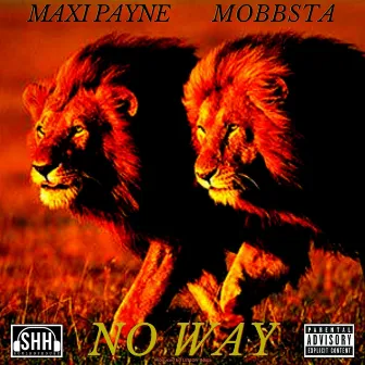 No Way by Maxi Payne