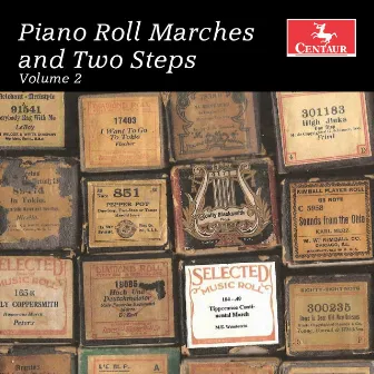 Piano Roll Marches and Two Steps, Vol. 2 by David Dawn