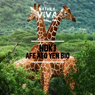 Afe Ato Yen Bio by NDKj