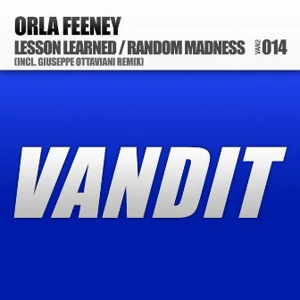 Lesson Learned / Random Madness by Orla Feeney