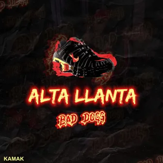 Alta Llanta by Bad Dogg