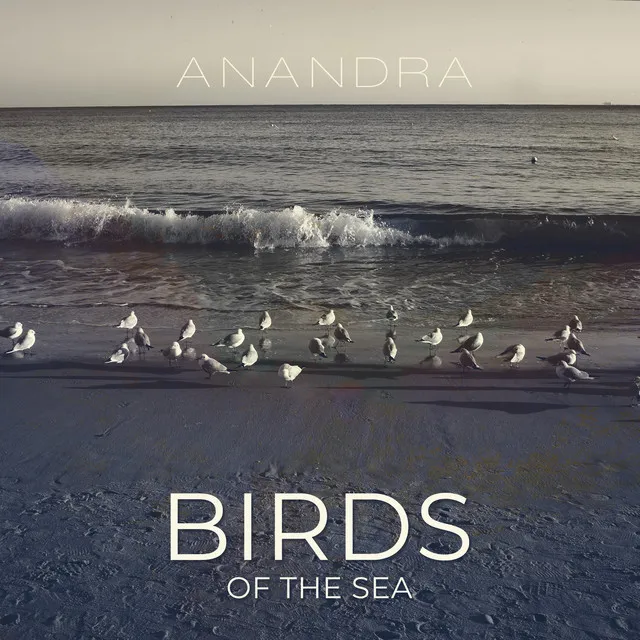 Birds of the Sea