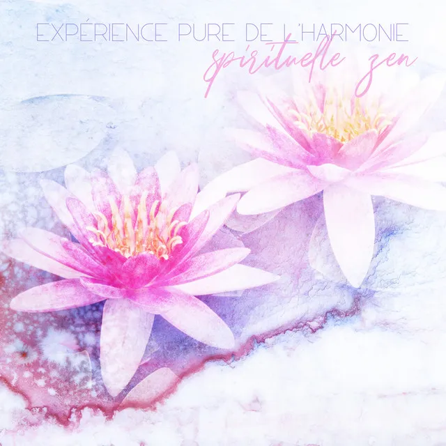 Expérience pure de l'harmonie spirituelle zen