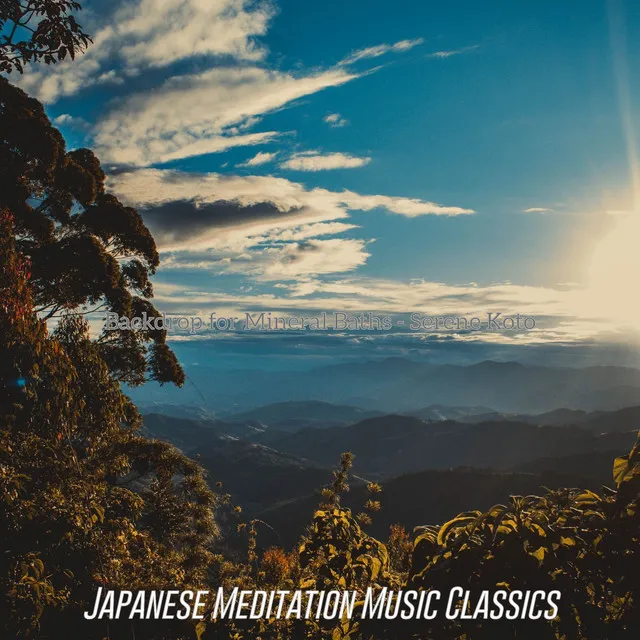 Alluring Ambiance for Zen Meditation