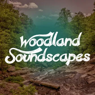 Woodland Soundscapes by Soundscapes